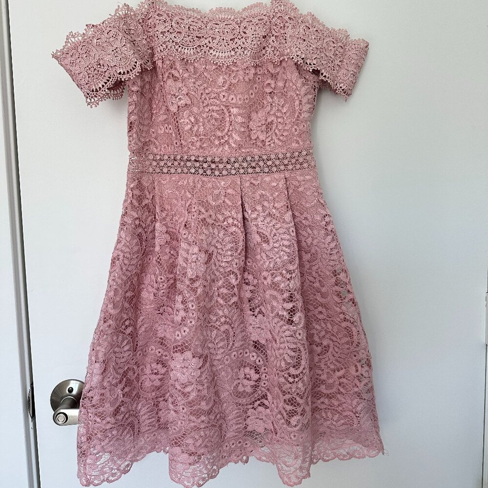 Francesca's Rose Pink Lace Overlay Off-Shoulder Dress, XS